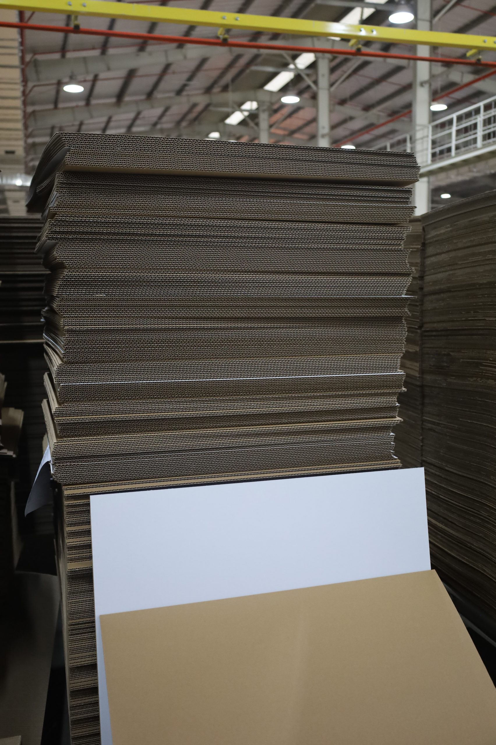 bia-carton-3-5-7-lop