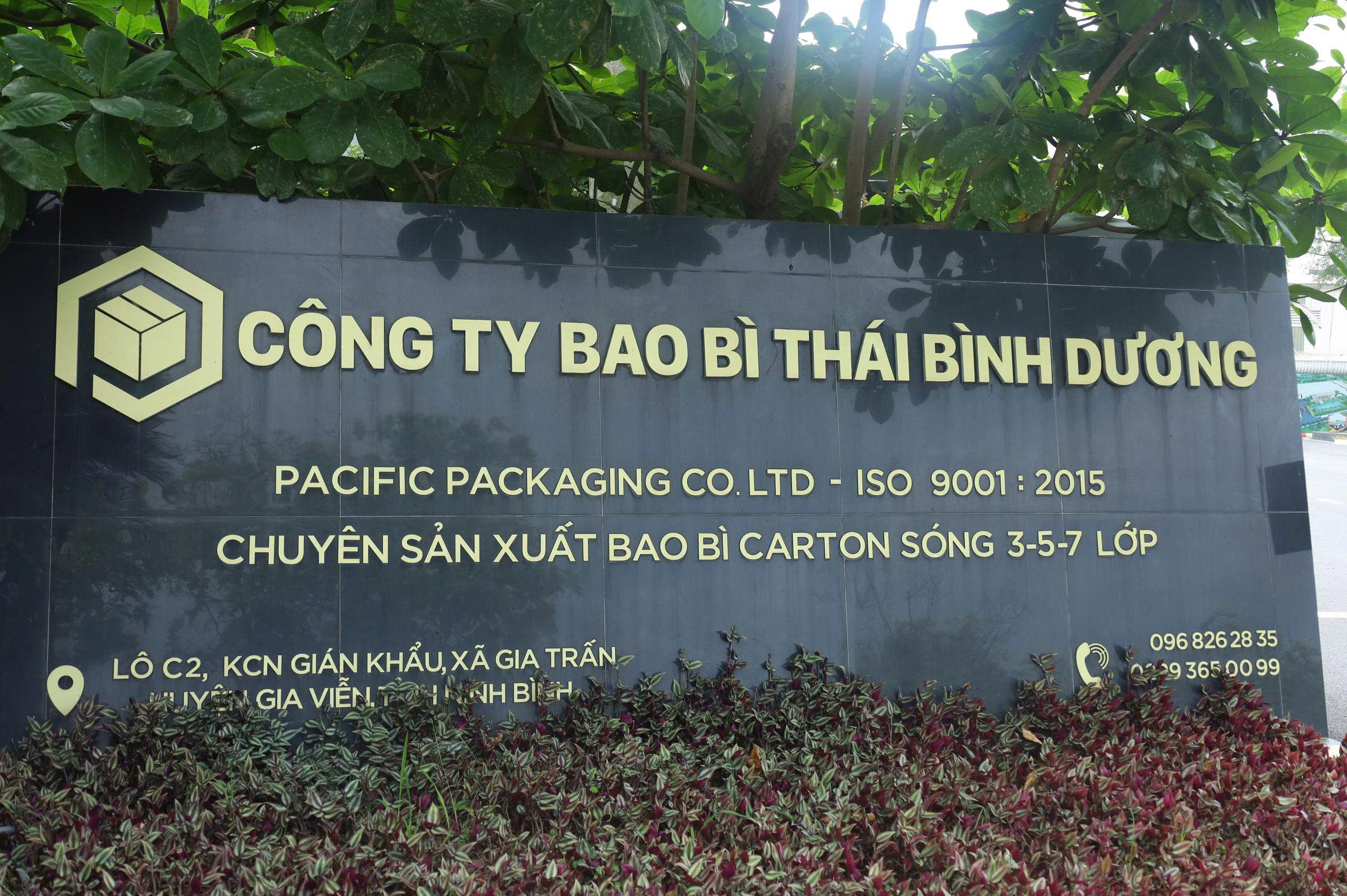nha-may-bao-bi-thai-binh-duong