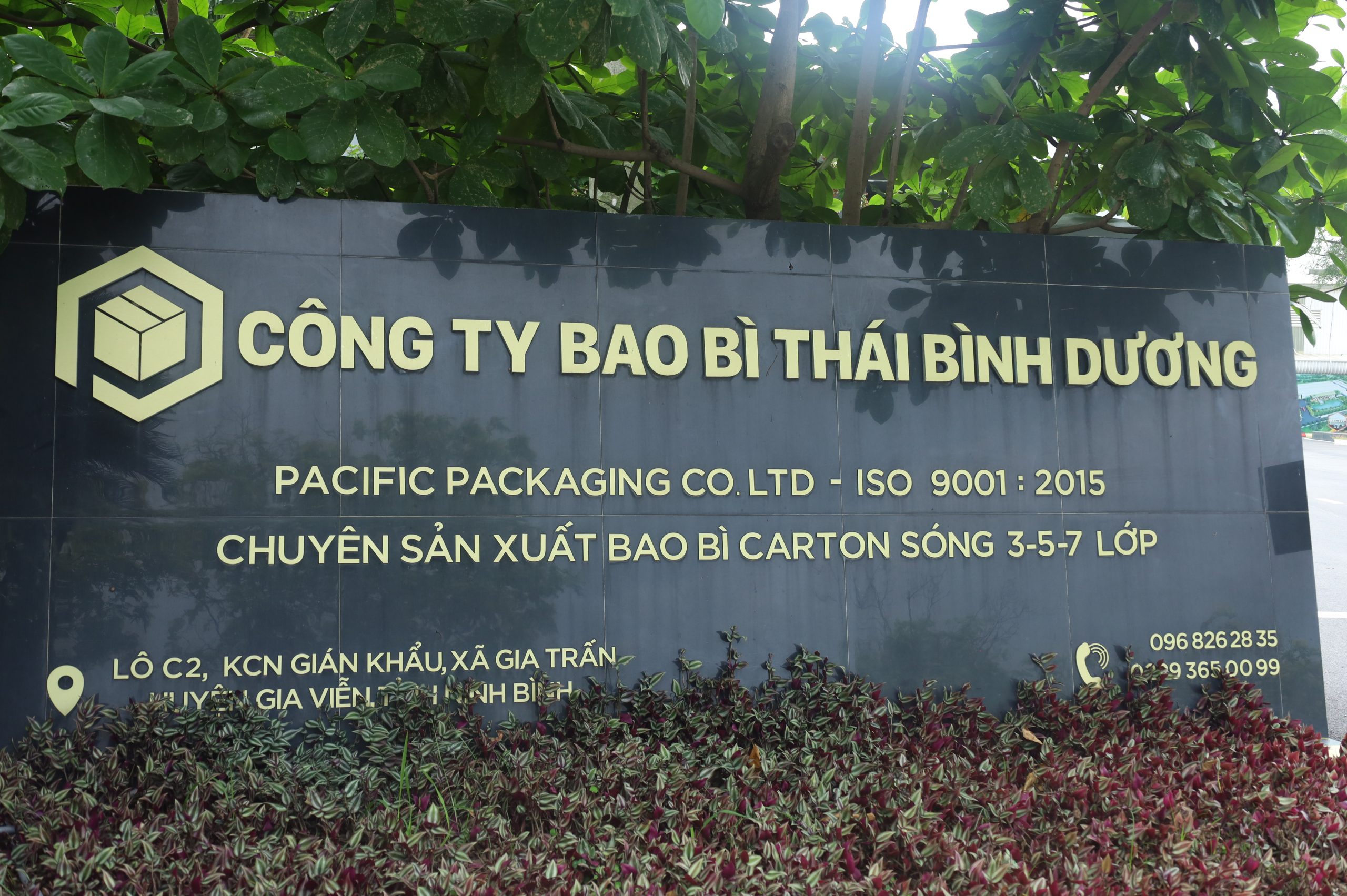cong-ty-bao-bi-TBD